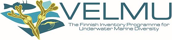 VELMU logo